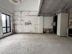 Mohamed Sultan Road (D9), Shop House #580622371